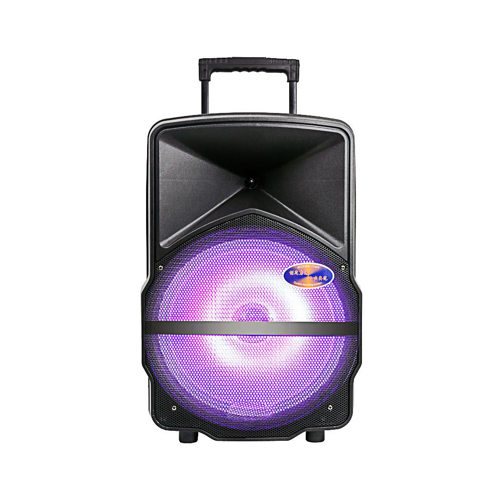 15 inch portable rechargeable battery speaker