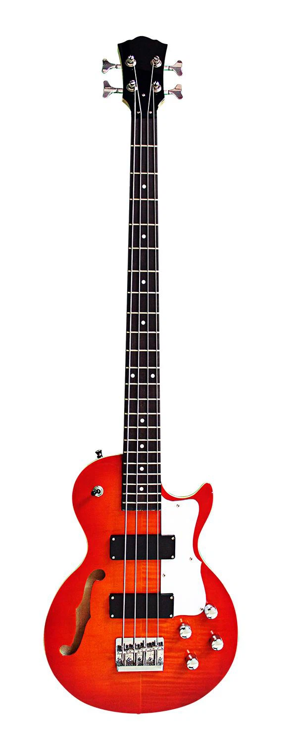 Basgitara v štýle LP