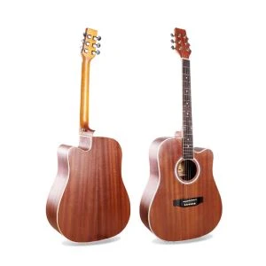 Akustická gitara z palisandru