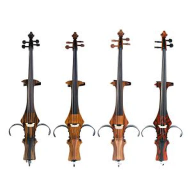 Profesia Pokročilé elektrické violončelo