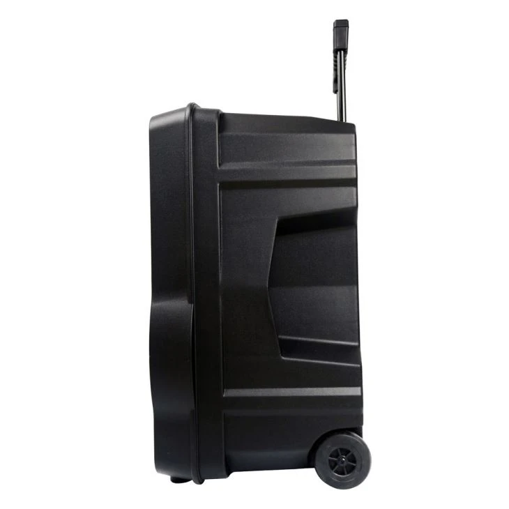 15 inch portable rechargeable battery speaker (2)